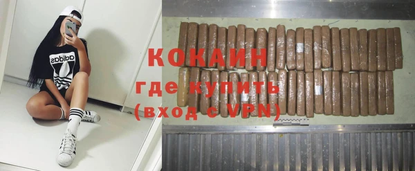 гашик Заводоуковск