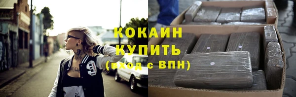 гашик Заводоуковск
