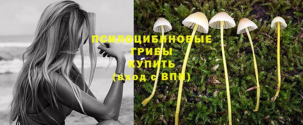 гашик Заводоуковск