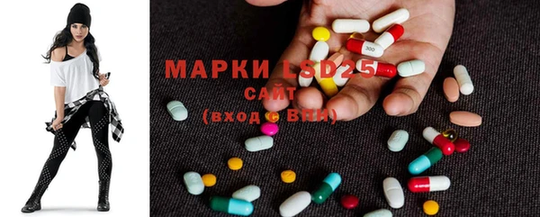 гашик Заводоуковск